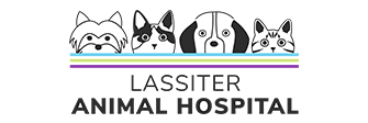 Link to Homepage of Lassiter Animal Hospital